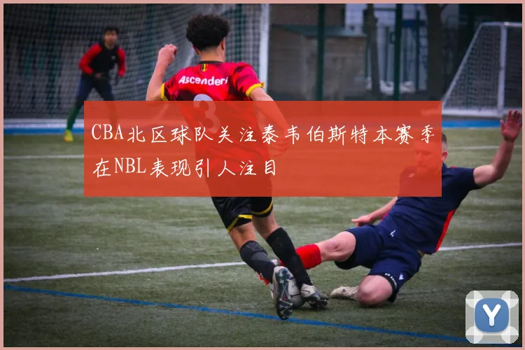 CBA北区球队关注泰韦伯斯特本赛季在NBL表现引人注目